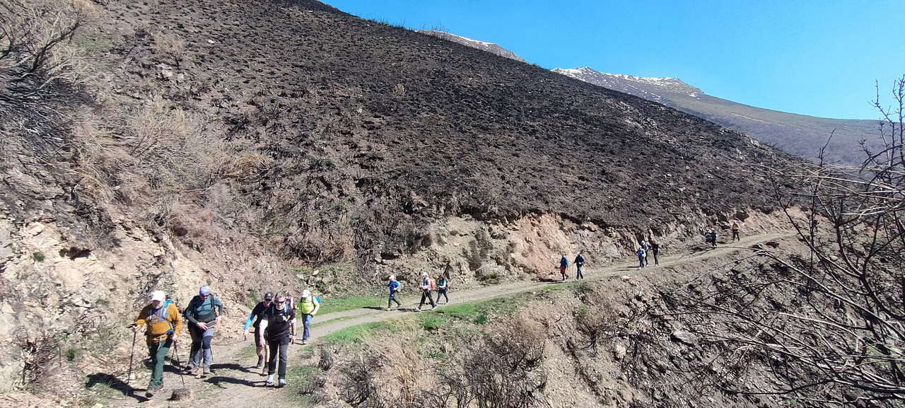 WhatsApp Image 2026-03-23 at 08.14.05